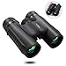 PAIPU 10X40 Compact Binoculars for Adults - Professional Powerful HD Lightweight Binoculars for Birds Watching Hunting Concerts with Clear Weak Light Vision