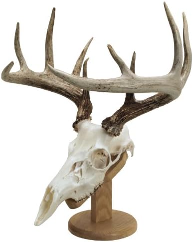 antler pilot case