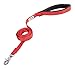 GOGO Pet Products 5/8-Inch Wide Comfy Nylon Dog Leash, 6-Feet Long, Red