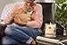 Pet House Candle in 15 Fragrances - All Natural Soy Wax Candle and Pet Odor Eliminator - Eco-Friendly, Non-Toxic, Paraffin-Free - 60-70-Hour Burn Time - Mandarin Sage