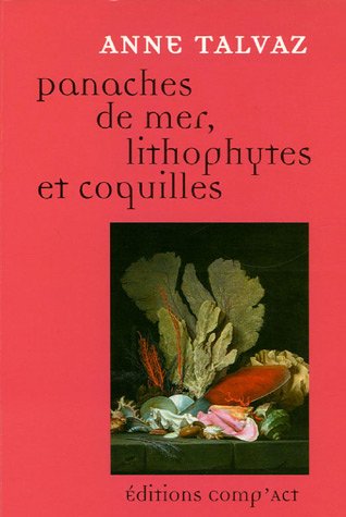 Panaches de mer, lithophytes et coquilles