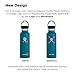 Hydro Flask Water Bottle - Standard Mouth Flex Lid - Multiple Sizes & Colors