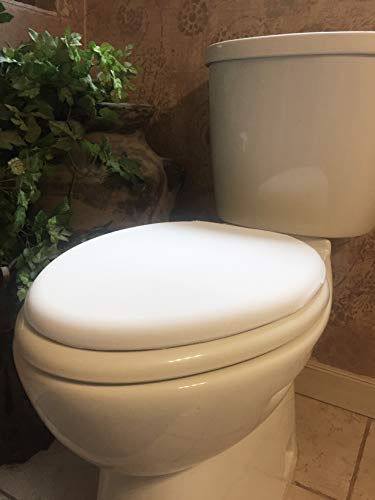 DISH NANNY White Toilet Seat Sign Put me Down - Toilet Sign Cover - Potty Training Adults | Bathroom Reminder to Put The Toilet seat Down