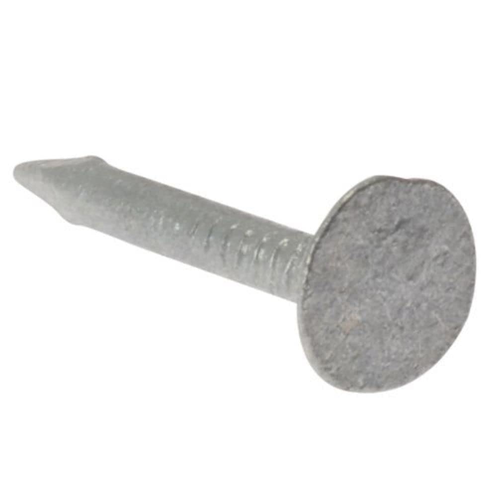 Merriway BH02173 (150 gm) Clout Nail With Extra Large Head, Galvanised 50 mm (2 inch) - Pack of 150g, Silver