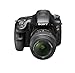Sony SLT-A65V 24.3 MP Translucent Mirror Digital SLR With 18-55mm Lens