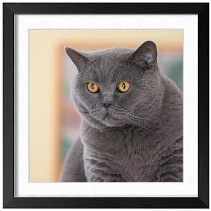 Amazon Com Yenoye Sm British Cat Fat Picture Art Print Black