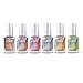 Color Club Halo Hues Collection Holographic Nail Lacquer Set of 6 Colors