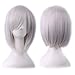 ANESHE Short Straight Hair Wig 12 Inches Anime Cosplay Costume Party Wigs (Silver Gray)