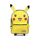 Pokemon Pikachu 16