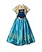 American Vogue ANNA ELSA FROZEN FEVER Girl's Birthday Dress Costume
