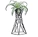 BELUPAID 2PCS Metal Plant Containers,Tabletop Metal Air Plant Containers Big Air Plant Stand Pentagonal Flower Bracket Tillandsia Racks Indoor Flower Racksthumb 4