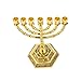 singlotat 12 Tribes of Israel Jerusalem Temple Menorah,7 Branch Hexagonal Base Jewish Candle Holder, Holy Land Gift (Menorah)