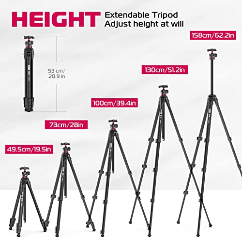 Ulanzi MT-55 Ombra Photography Travel Tripod for Mirrorless DSLR Smartphone | Aluminum Alloy | Arca Swiss Plate Ball Head | Phone Mount | 1.1kg - 158cm
