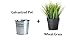 Ikea Artificial Potted Plant Wheat Grass 9