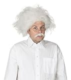 Fun World Men's Einstein Wig Adult