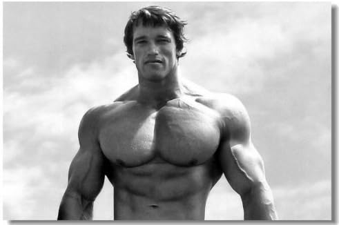 Arnold Schwarzenegger Movie Silk Wall Poster Mr Olympia Bodybuilding Terminator Big Prints Boy Room (007) - 24x36 inches