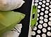 Padded Spaces iBedside: Tidy Bedside Caddy for iPhone, iPad, Apple Watch & more (Green Stripe)