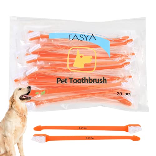 EASYA EASYA 30 Pieces Double Headed Pet Dog Toothbrush for Small Dogs