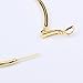 Women Gold Hoop Earring 2