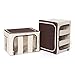 LivingBox 70 Quart/ 66 Liter Extra-large Foldable Storage Containers Fabric with See-through Window, Oxford Fabric Storage Bins, 2 Pack, Natural