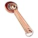 Juvale 4-Piece Set of Stainless Steel Measuring Spoon Set - Copper-Plated Metal Measuring Spoons, Precision Measuring Spoon Set for Baking, Cooking, Dry and Liquid Ingredients