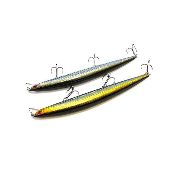 Goture-Hard-Fishing-Bait-2-Pieces-Lure-Minnow-17cm27g-Floating-Lures-for-Saltwater