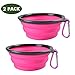 Popetz Collapsible Pet Bowl, Portable Dog Travel Bowls for Small and Medium Dogs and Cats,13 oz (Small, Pink)