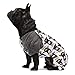 Fitwarm Lama Pet Clothes for Dog Pajamas Cat Onesies Lightweight Velvet Black Medium
