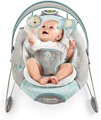 ingenuity smartbounce automatic bouncer cambridge