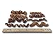 Bully Stick Spirals - 25 Springs From Top Dog Chews