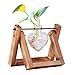 HUABEI Plant Terrarium Wooden Stand Love Shape, Air Planter Bulb Glass Vase Metal Swivel Holder Retro Tabletop Hydroponics Home Garden Office Decoration – 1 Bulb Vasethumb 1