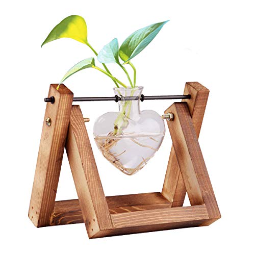 HUABEI Plant Terrarium Wooden Stand Love Shape, Air Planter Bulb Glass Vase Metal Swivel Holder Retro Tabletop Hydroponics Home Garden Office Decoration – 1 Bulb Vase