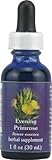 Flower Essence Evening Primrose Dropper Herbal Supplement -- 1 fl oz