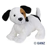 Webkinz Jack Russell