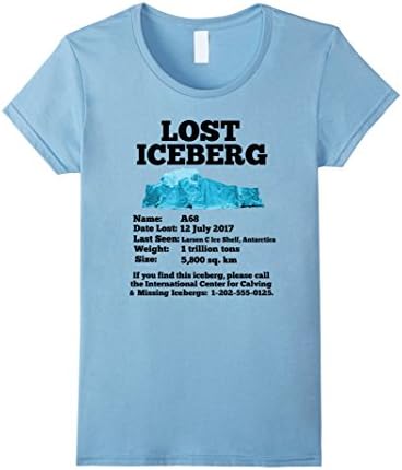Womens Missing Iceberg Shirt | Funny, Science Geek Nerd Parody Tee Small Baby Blue