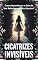 Livro CICATRIZES INVISIVEIS: Como Reconhecer e Sair de um Relacionamento Abusivo