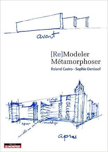Re Modeler Metamorphoser Amazon Fr Castro Roland Denissof Sophie Livres