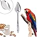 Jim-Hugh Bird Parrot Feeding Stainless Steel Water Milk Powder Feeder Spoons Suppliesthumb 2