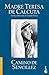 Camino de sencillez (Spanish Edition)