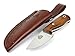 Hobbit: Bushcraft Survival Hunting Neck Knife, Stainless Steel MV-58, Sheath, Handmade