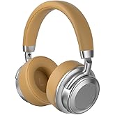 Vintage Metal Over-Ear Bluetooth Headphones, 38H Battery, Type-C Fast Charging, HiFi, Bluetooth 5.4, for Sports, Business, Music (Silver Brown)