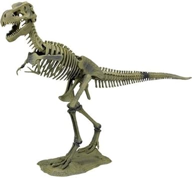 Squelette Geant De Tyrannosaurus Rex T Rex World Amazon Fr Jeux Et Jouets