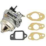 Honda Carburetor 16100-Z0L-853 and Gasket