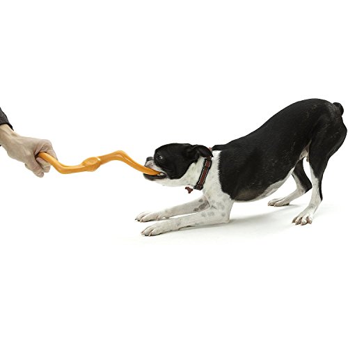 image for West Paw Zogoflex Bumi Interactive Tug of War Durable Dog Play Toy, 10