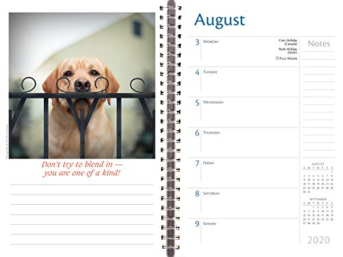 Dogma 2020 Day Planner 18-Month - Daily Weekly Monthly Planner Yearly Agenda Organizer: July 2019 - December 2020 - A Dog's Guide to Life