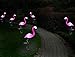 Elumaxon Flamingo Lawn Lamp - Garden Decor Solar Lights, Solar Flamingo Lights, Outdoor Decorative Stak, Solar Pink Flamingo Yard Ornaments (Pink)