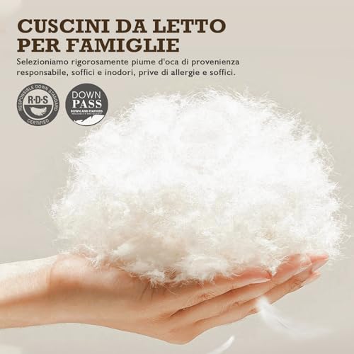 BPC Organic Feather and Down Pillow, 50 x 75 cm, Set of 2, Luxury 3 Bedroom Hotel Bed Pillow, 50 x 75 cm Cushion with 100% Cotton Cover, White