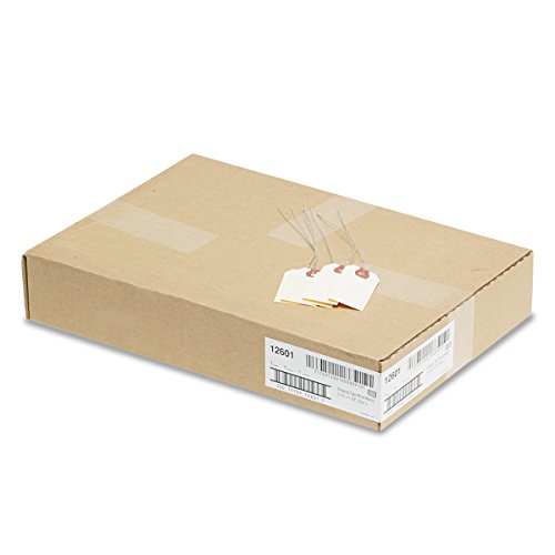 Avery 12601 Double Wired Shipping Tags, 13pt. Stock, 2 3/4 x 1 3/8, Manila (Box of 1000)