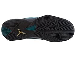 Air Jordan True Flight