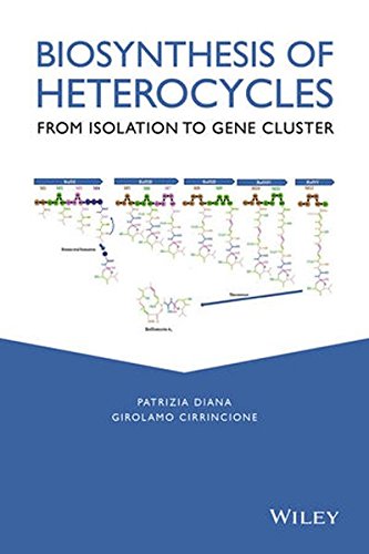 Biosynthesis of Heterocycles: From Isolation to Gene Cluster
